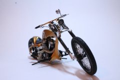 Gold custom H-D