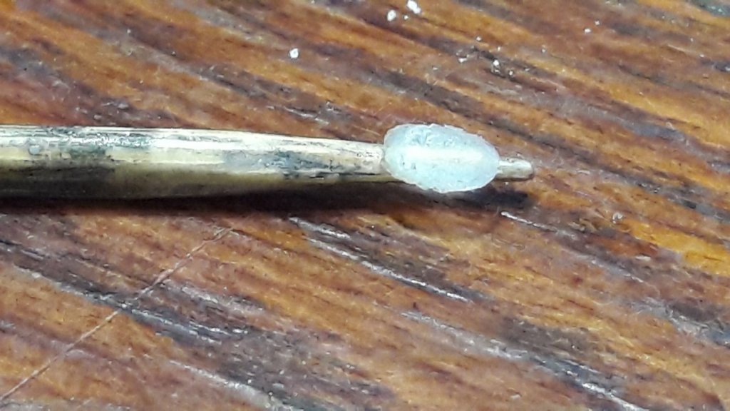 2018-04-10 19.54.27.jpg