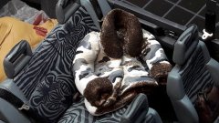 Nissan Terrano 3000 V6