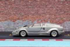 LH025_Countach_25Anv_Fujimi_1.jpg
