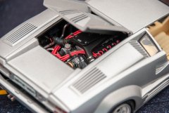 LH025_Countach_25Anv_Fujimi_11.jpg