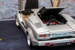 LH025_Countach_25Anv_Fujimi_12.jpg
