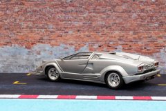 LH025_Countach_25Anv_Fujimi_3.jpg
