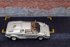 LH025_Countach_25Anv_Fujimi_4.jpg