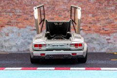LH025_Countach_25Anv_Fujimi_5.jpg