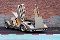 LH025_Countach_25Anv_Fujimi_6.jpg