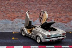 LH025_Countach_25Anv_Fujimi_7.jpg