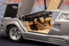 LH025_Countach_25Anv_Fujimi_8.jpg