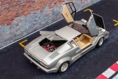 LH025_Countach_25Anv_Fujimi__3.jpg