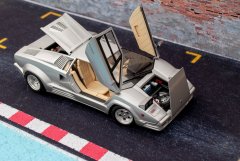 LH025_Countach_25Anv_Fujimi__4.jpg