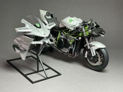Kawasaki Ninja H2R Trickstar