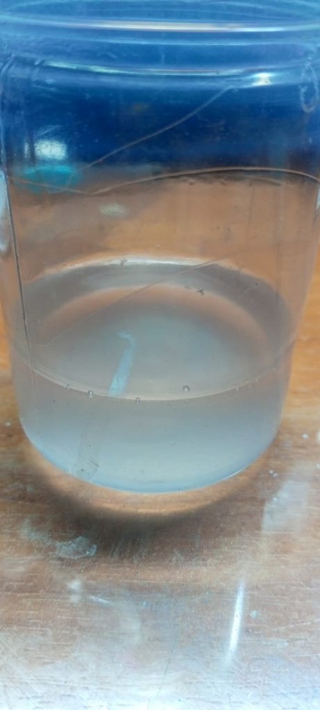 WhatsApp Image 2024-03-01 at 09.01.01.jpeg